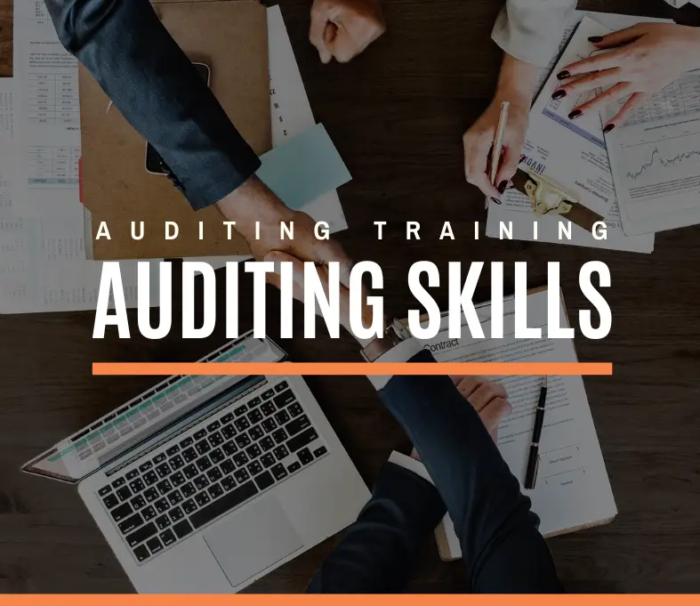 auditing skills training